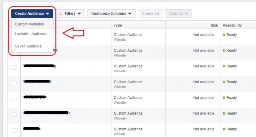 3 Jenis Audience Facebook Ads Terbaru Yang Harus Anda Tahu